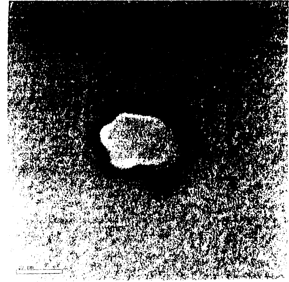 Nanometer dragon's blood capsule and its preparation method