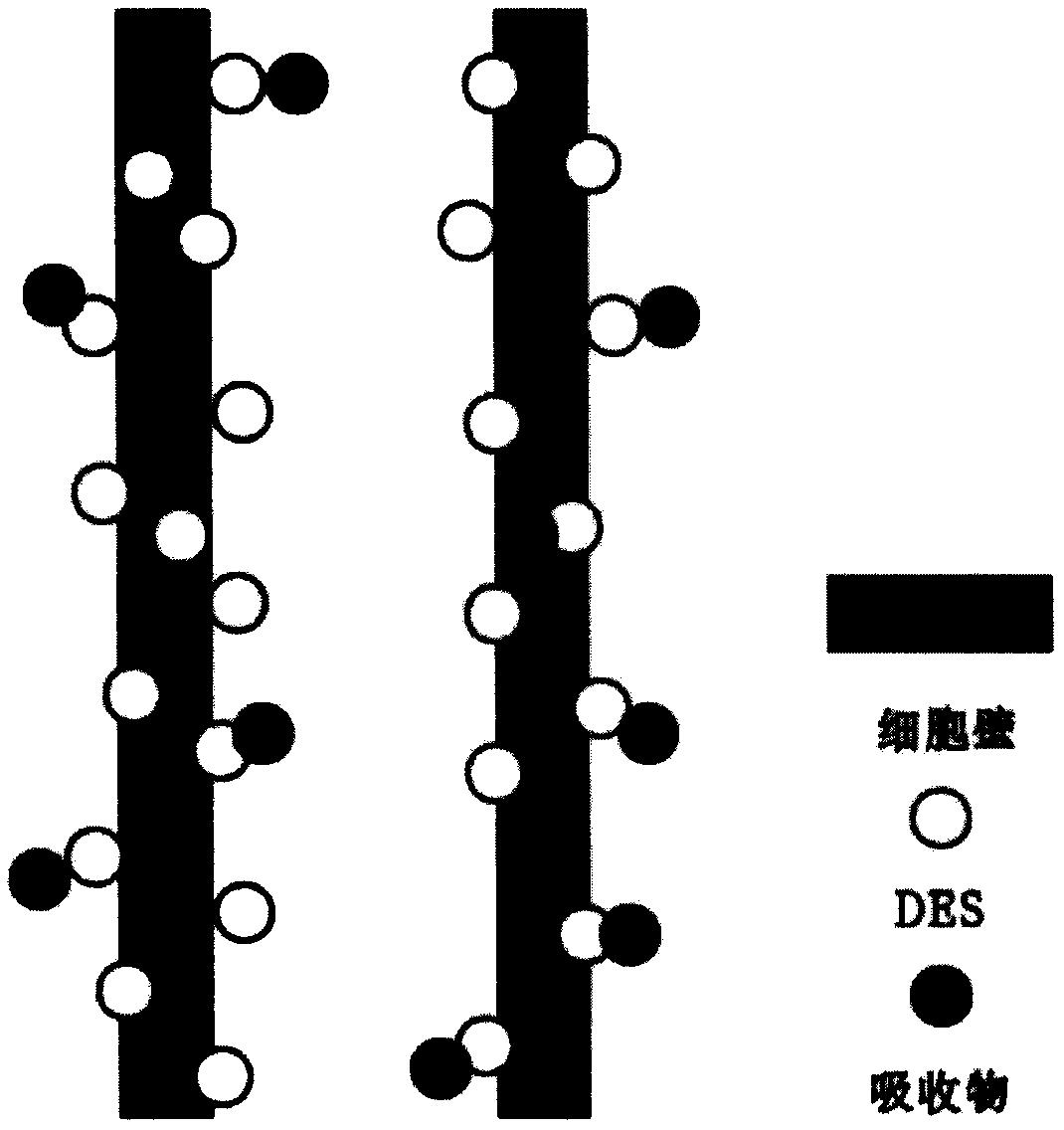 Preparation method of porous structure functional wood base material