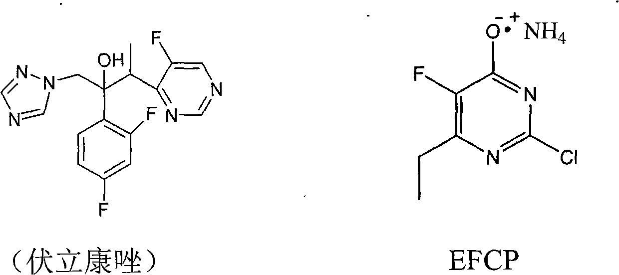 Synthesis method of 6-ethyl-4-hydroxyl-5-fluorine-2-cloro pyridine ammonium salt