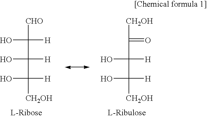 Thermostable l-ribose isomerase and method for producing same and use of same