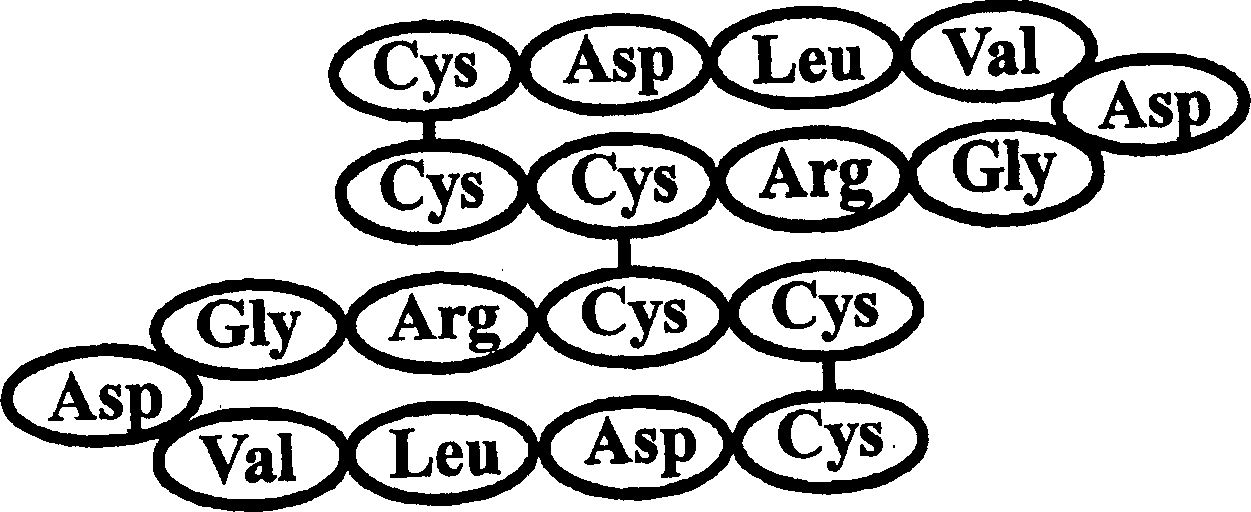 Peptides modulating caspase activation