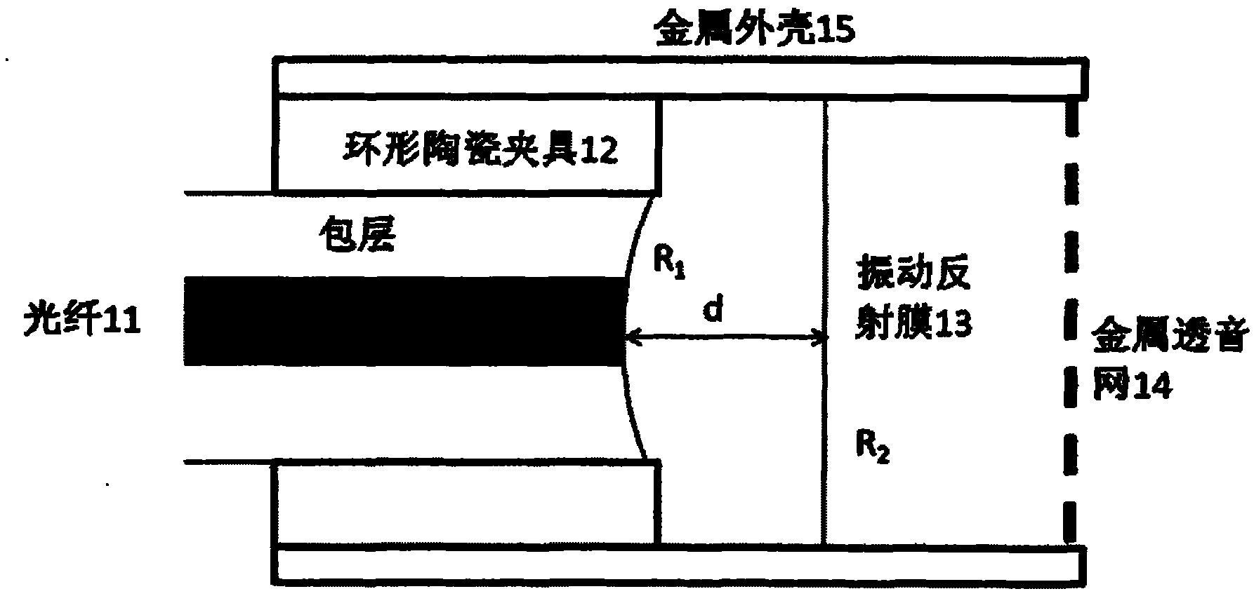 Interference-type optical fiber pick-up probe