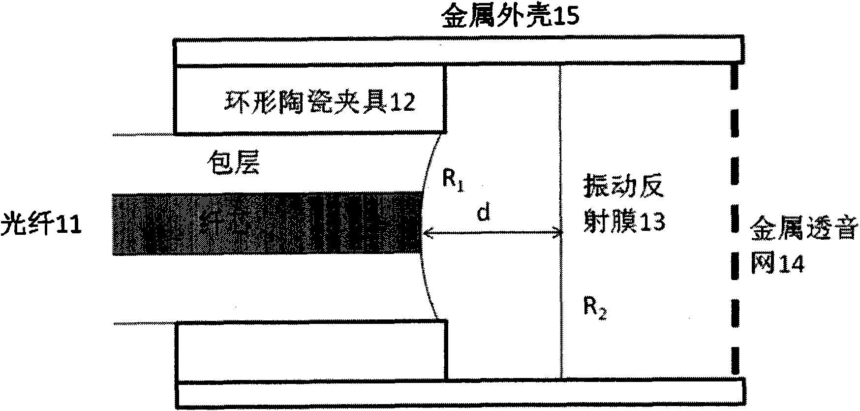 Interference-type optical fiber pick-up probe