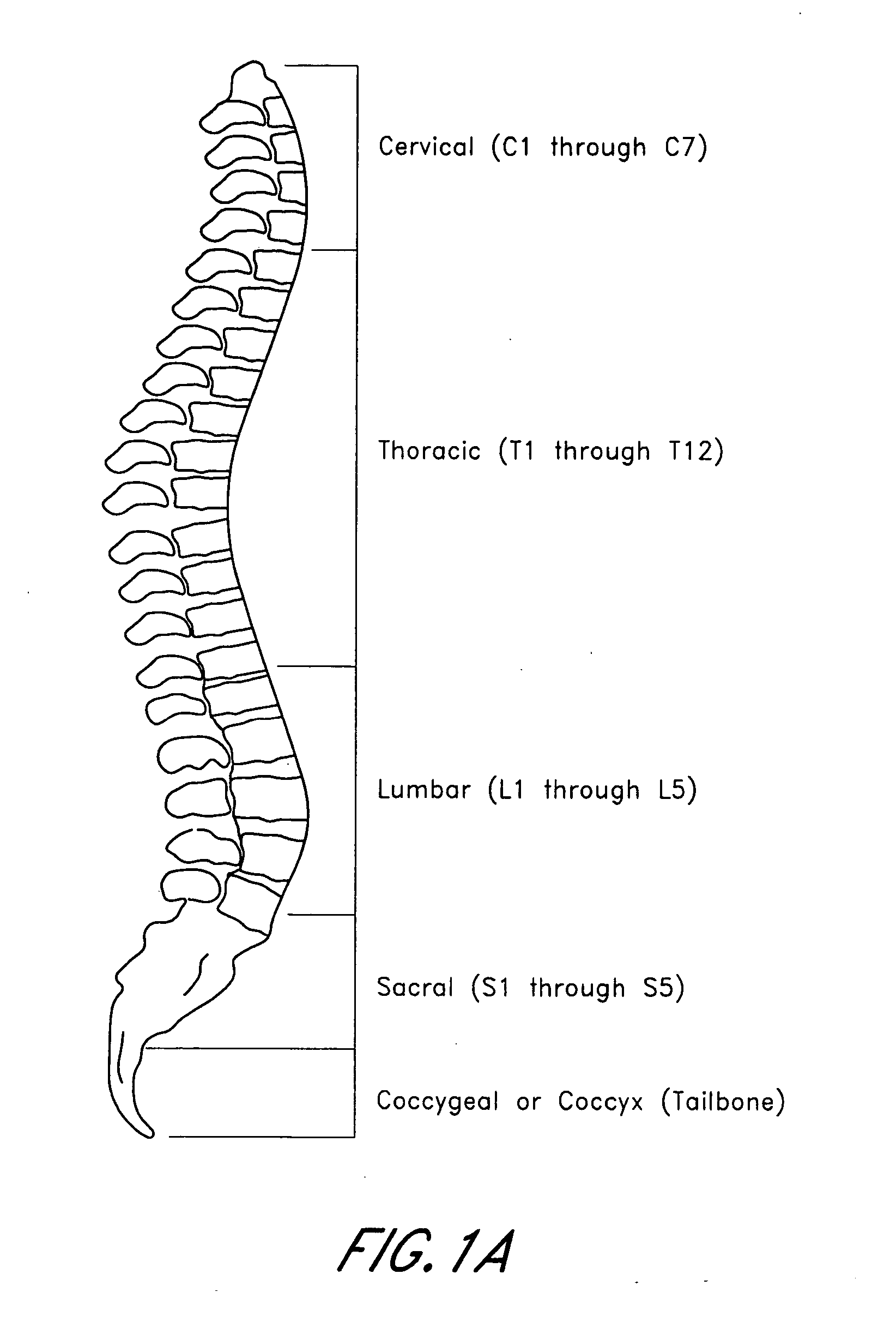 Method and apparatus for introducing material along an access path to a treatment site