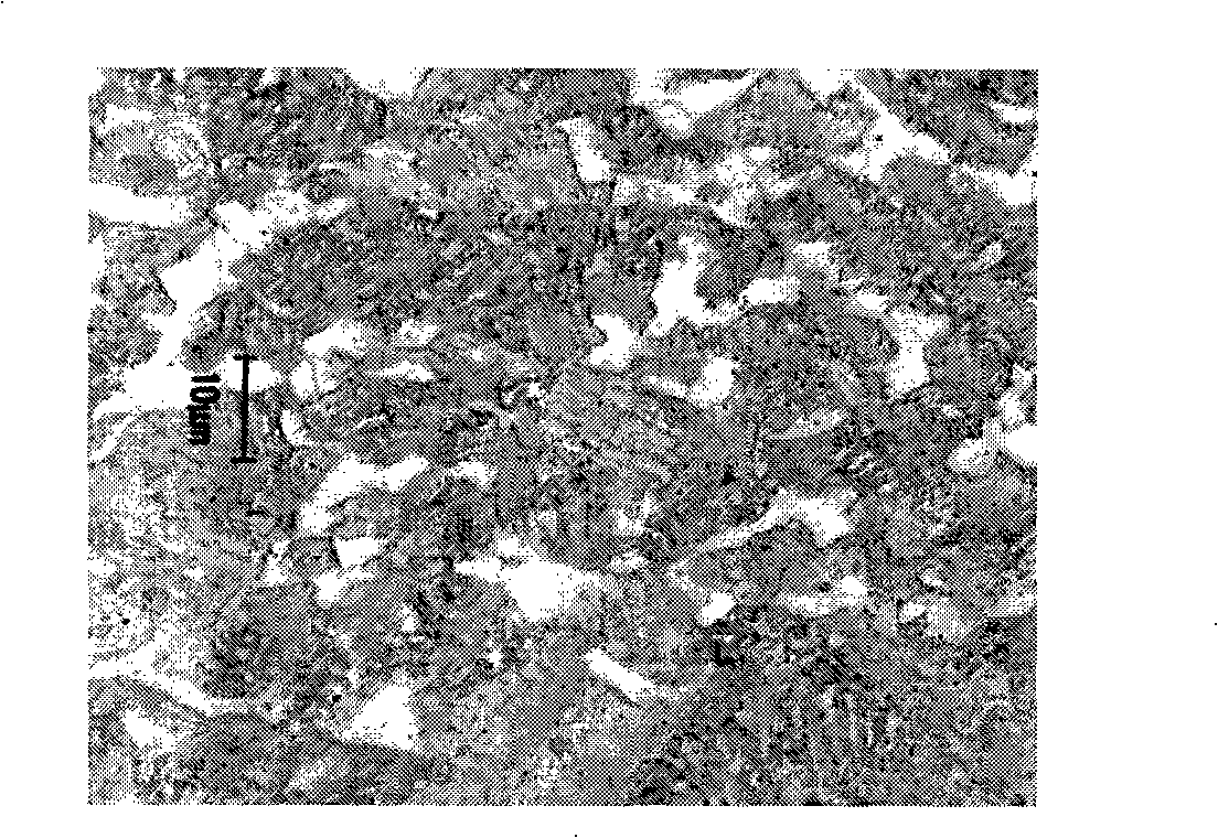 Hot-rolled polyphase steel plate and method for manufacturing same