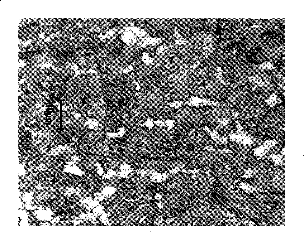 Hot-rolled polyphase steel plate and method for manufacturing same