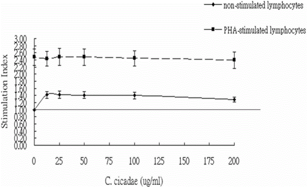 A kind of application of the fermentation product of Paecilomyces cicadae