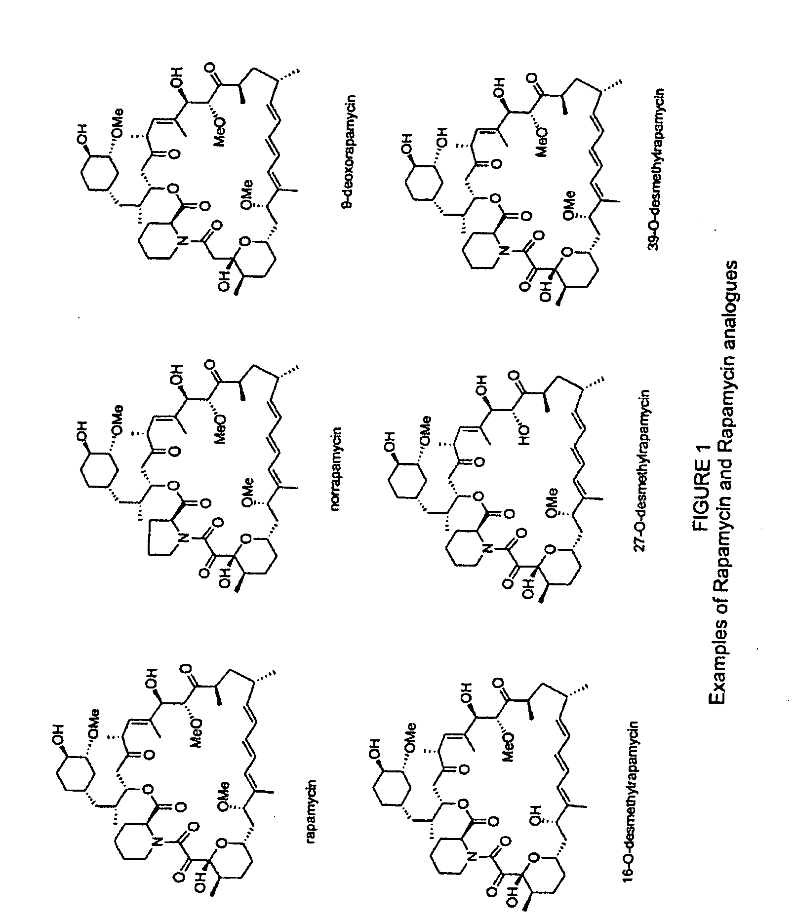 methods-for-using-rapamycin-analogues-in-the-treatment-of-neurological