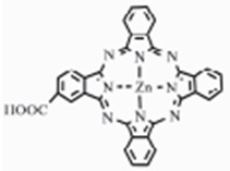 A preparation method of ms2 protein nanoparticle coupling monocarboxyphthalocyanine zinc and its application in anti-breast cancer