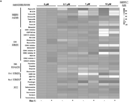 Synergistic tumor inhibition composition and application thereof