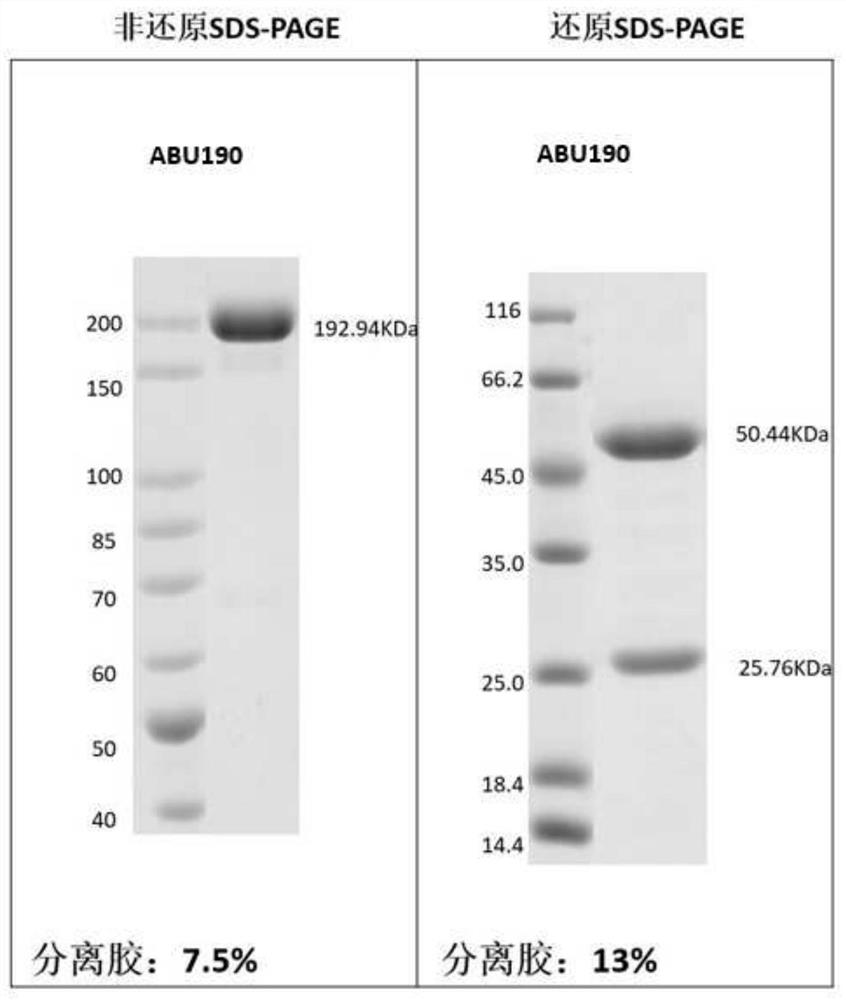 Method for preparing antigen binding units