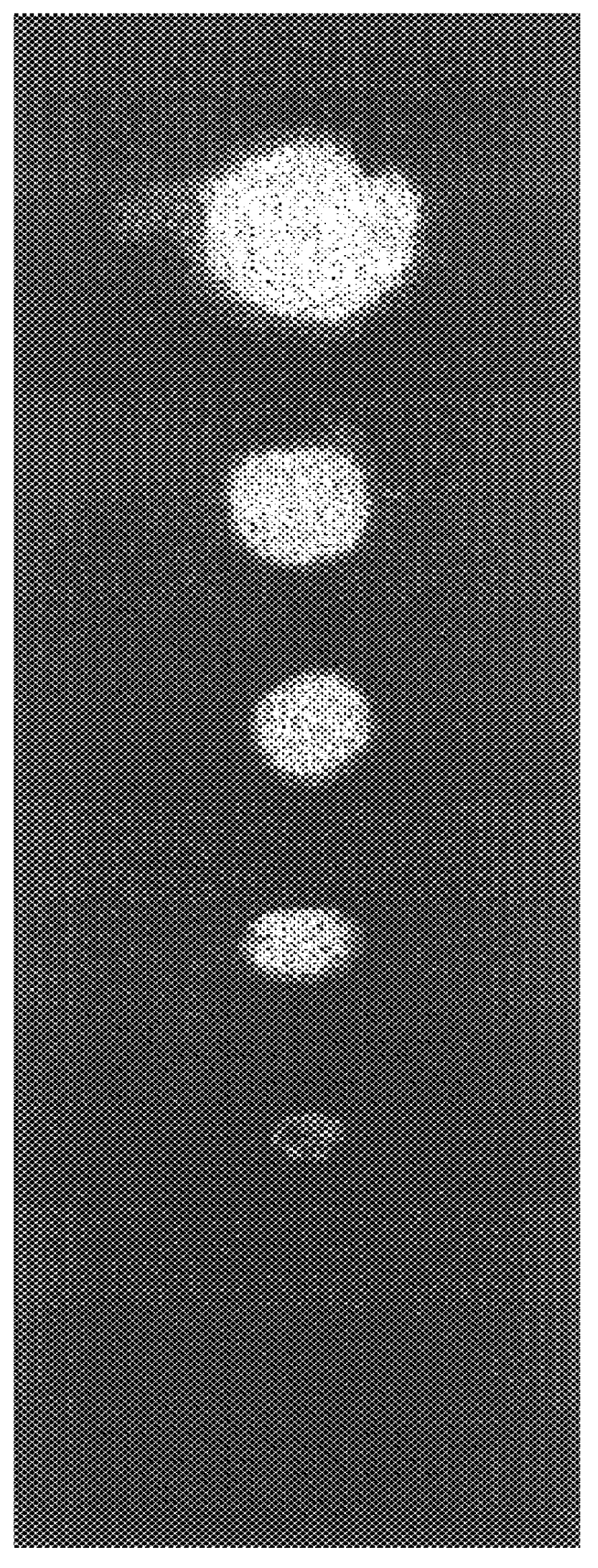 Enzyme linked chemiluminescent assay