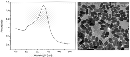 Dog-bone-shaped gold nanocrystal preparing method