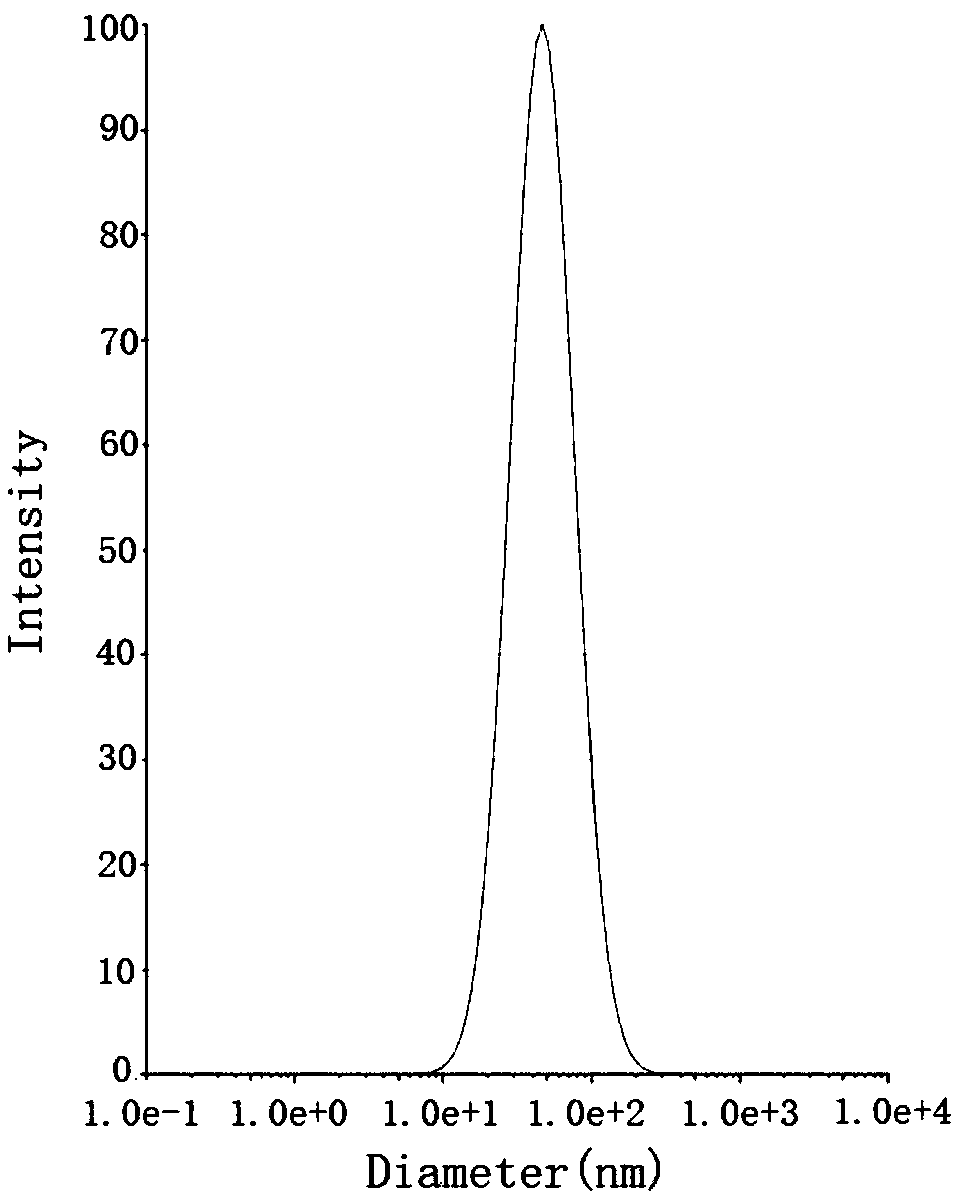 Paeonol self-microemulsion preparation and preparation method thereof