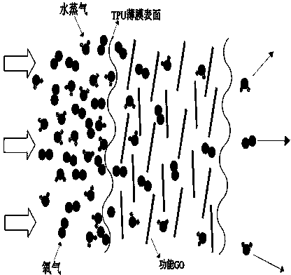 Blocking thermoplastic polyurethane (TPU)/functional graphite oxide composite film and preparation method thereof