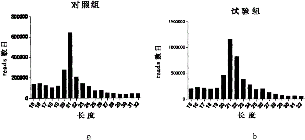 A method for detection of microrna associated with Salmonella enteritidis infection in chickens