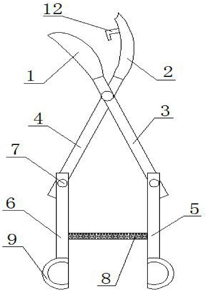 Novel gardening shears