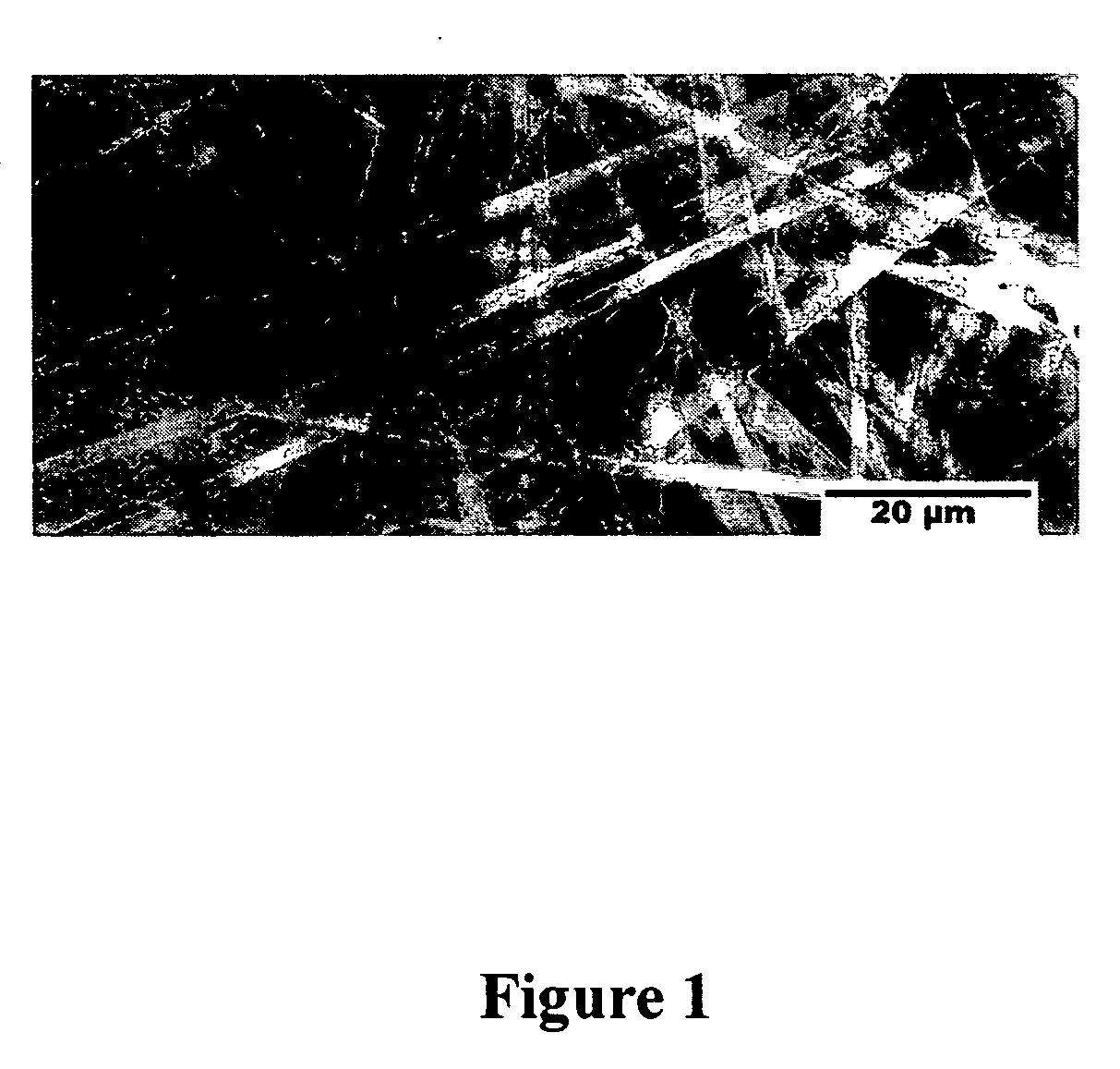 Method for preparation of poly(o-phenylenediamine) Nano-belt