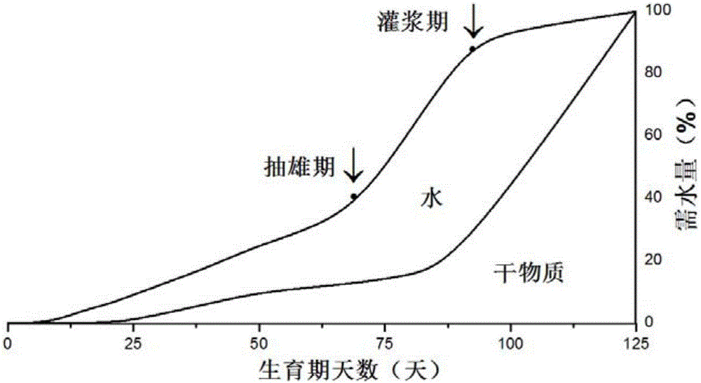 Water and fertilizer integrated drip irrigation and fertilization method for corn in semiarid regions