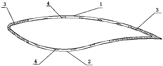 Wind power blade and preparation method thereof