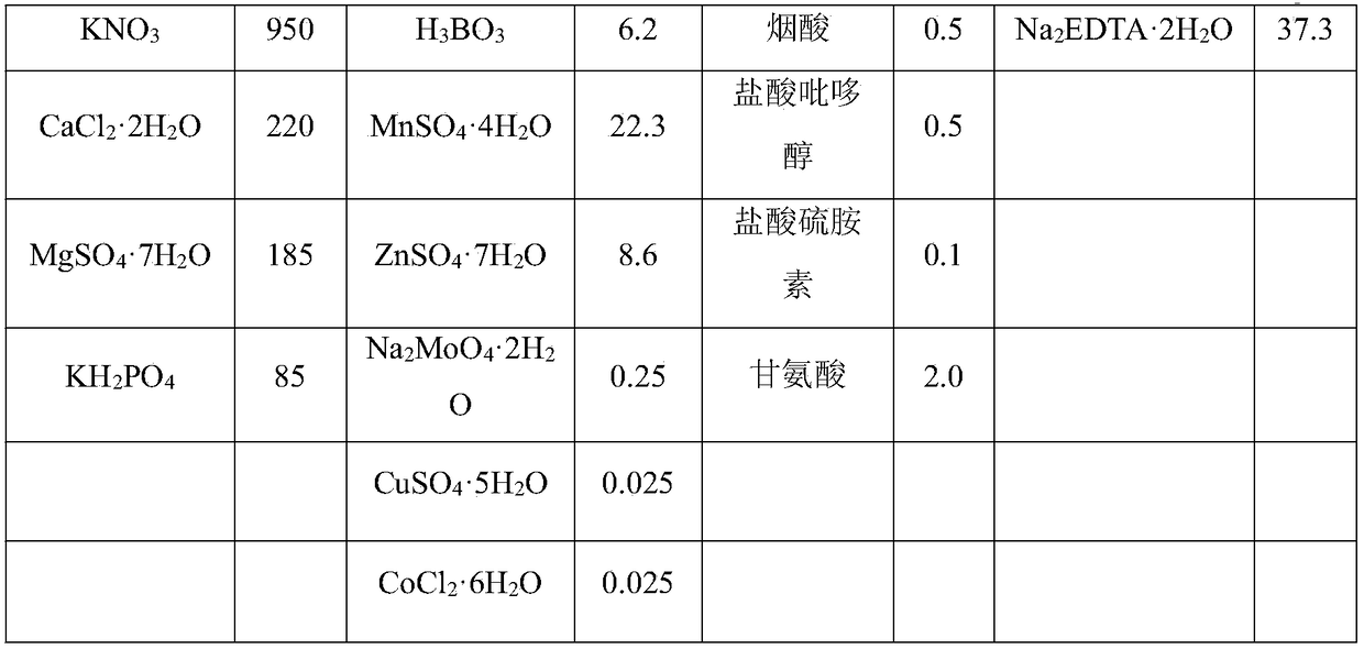 Method for cultivating immature capsicum seeds and rapidly propagating seedlings