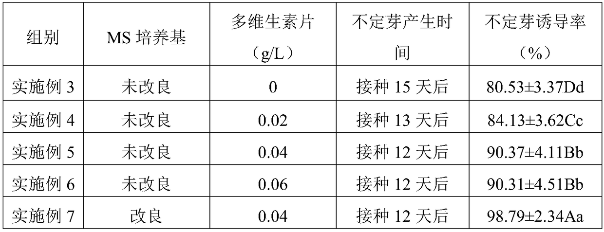 Method for cultivating immature capsicum seeds and rapidly propagating seedlings