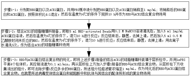 Virus neutralizing antibody and non-neutralizing antibody combined detection method, detection card and application