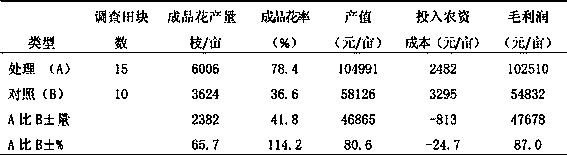 Planting method for improving commodity rate of pink pincushion