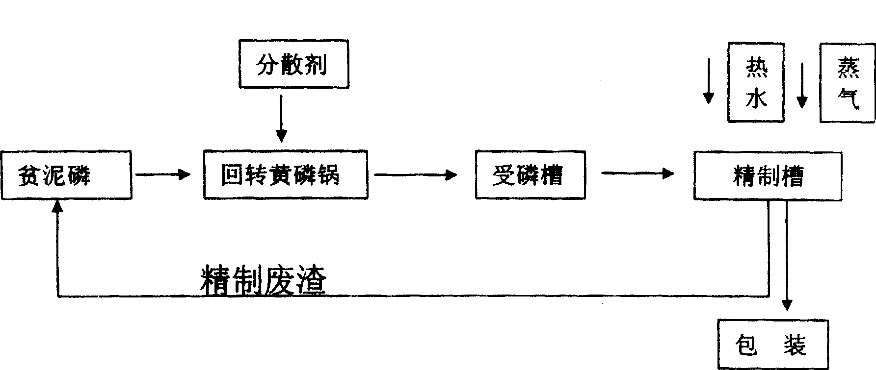 Mud phosphor recovery and refining method