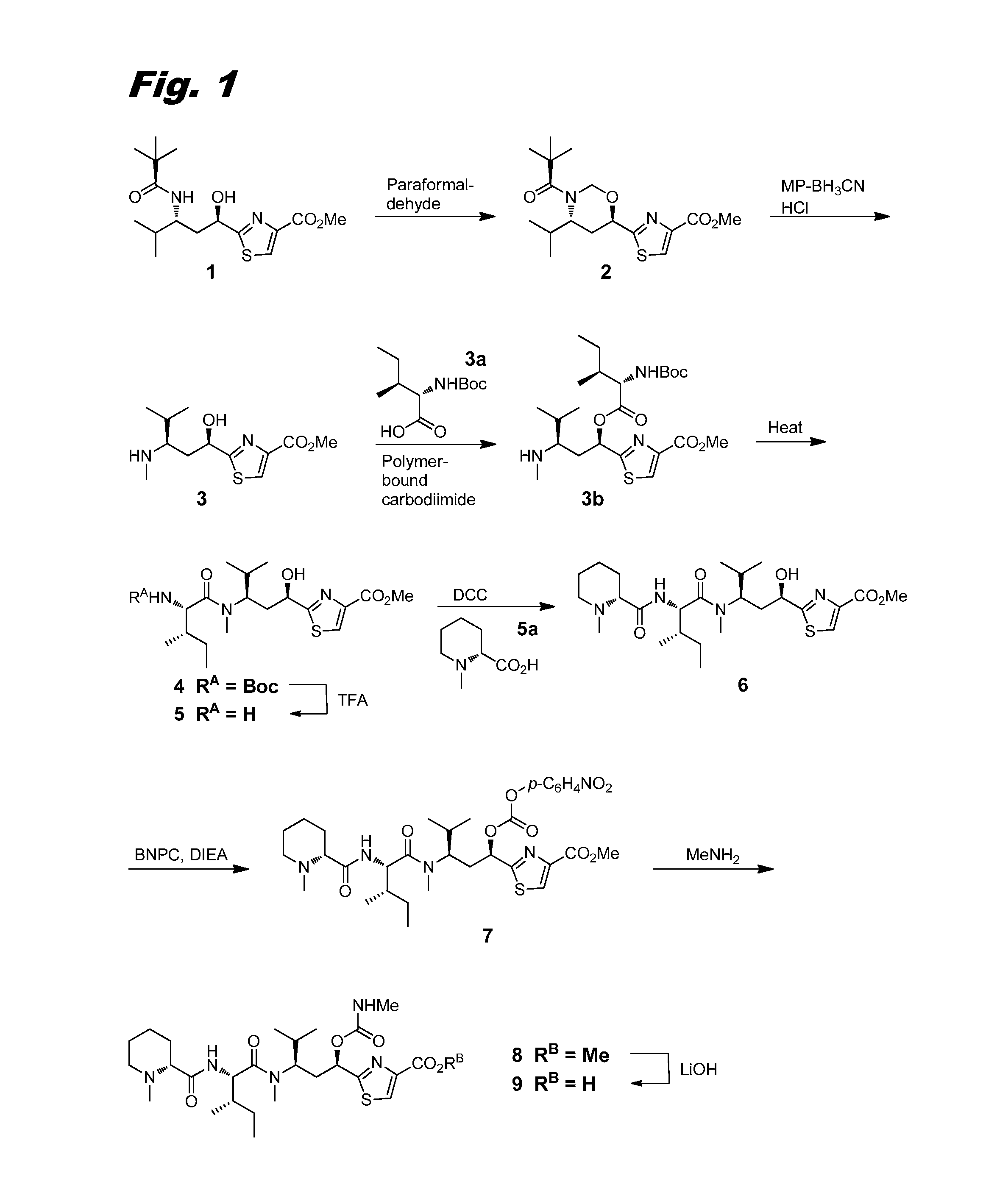 Tubulysin compounds, methods of making and use