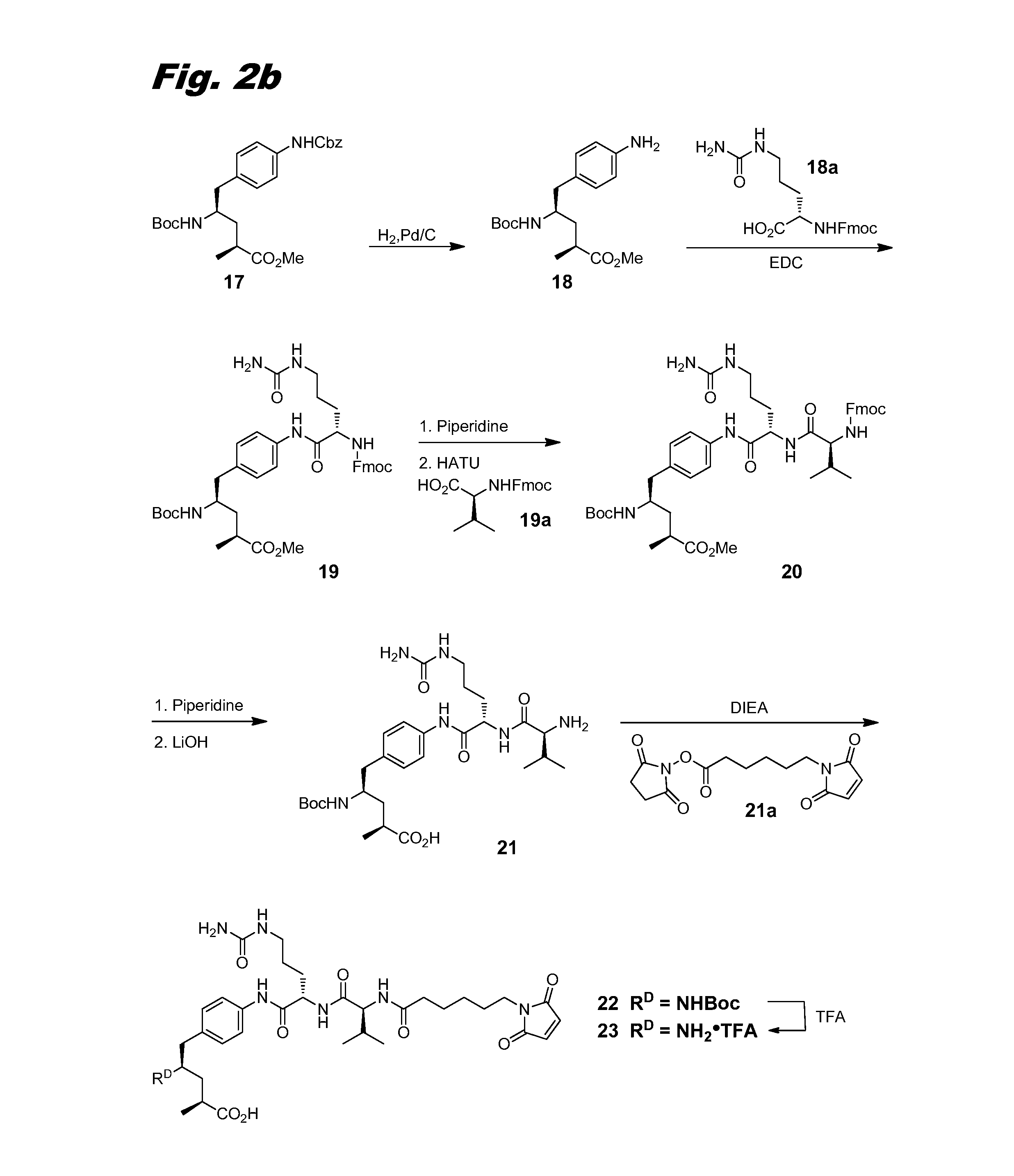 Tubulysin compounds, methods of making and use