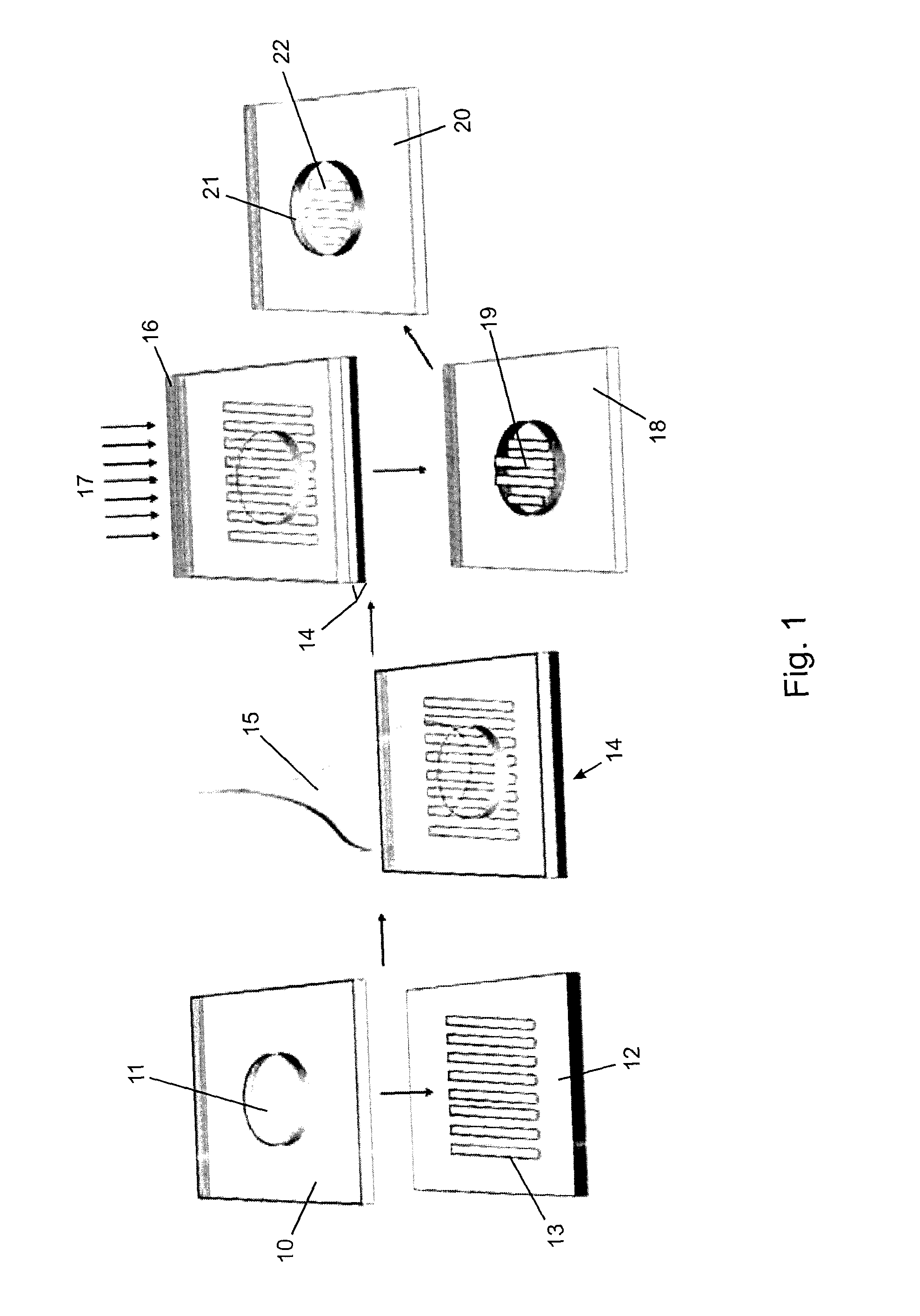 Microfluidic System Having Monolithic Nanoplasmonic Structures