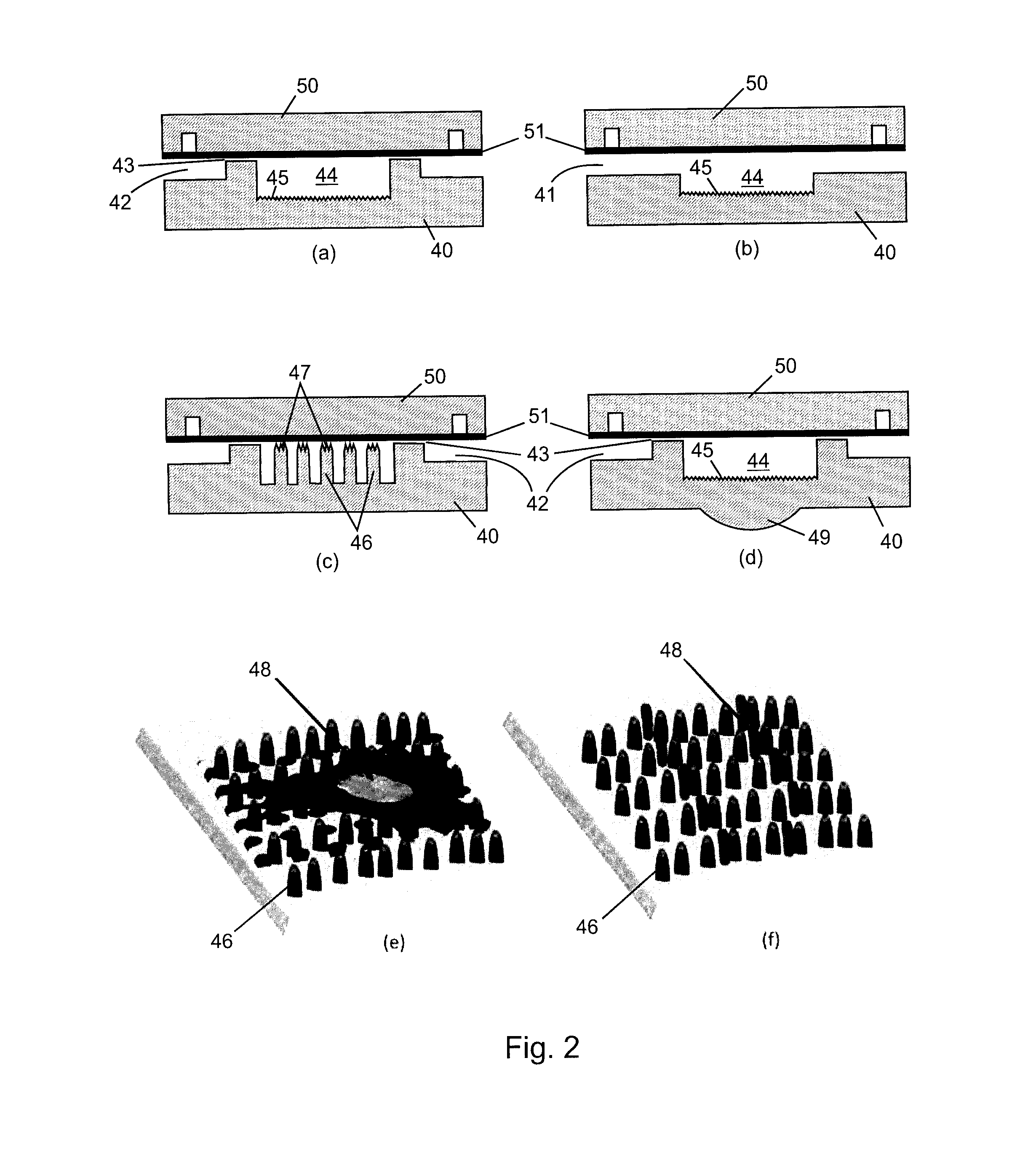 Microfluidic System Having Monolithic Nanoplasmonic Structures