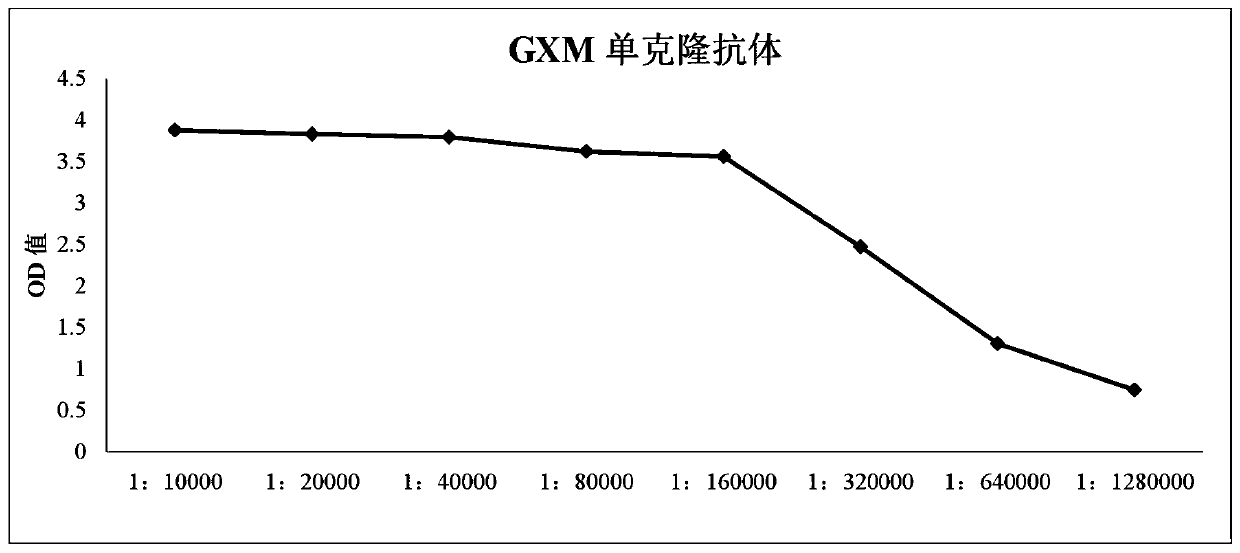 Rabbit-derived monoclonal antibody against Cryptococcus capsular polysaccharide, and application thereof