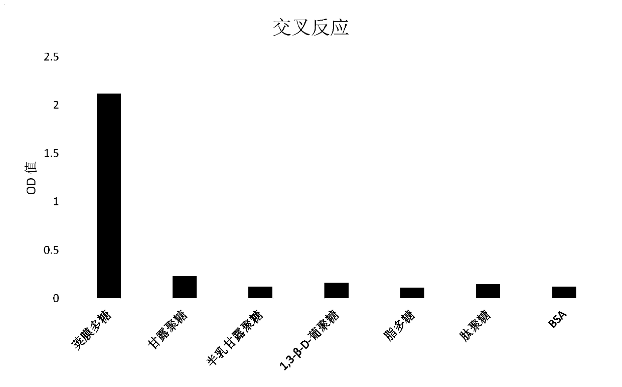 Rabbit-derived monoclonal antibody against Cryptococcus capsular polysaccharide, and application thereof