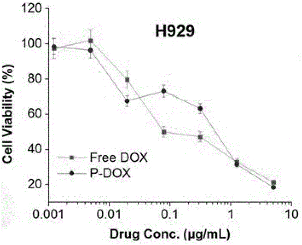 A kind of dendritic polymer nano drug delivery carrier targeting doxorubicin and its preparation method