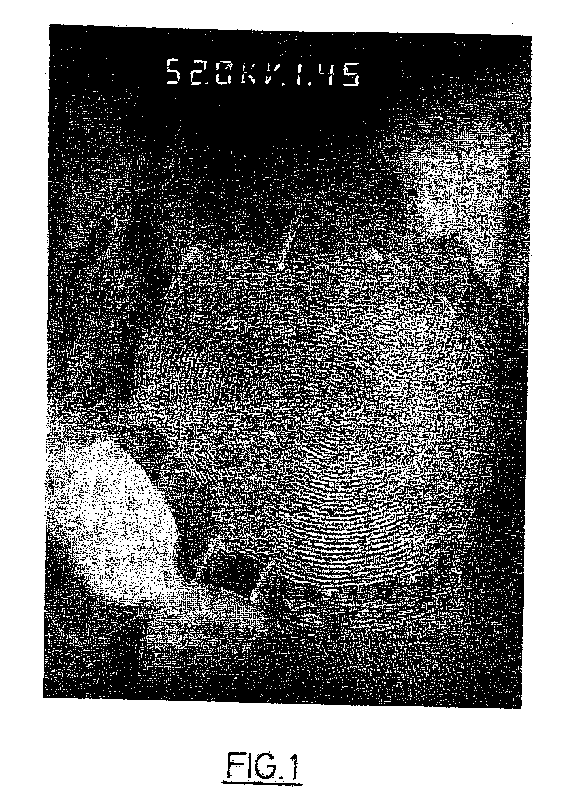 Mesostructured material incorporating particles of nanometric dimensions