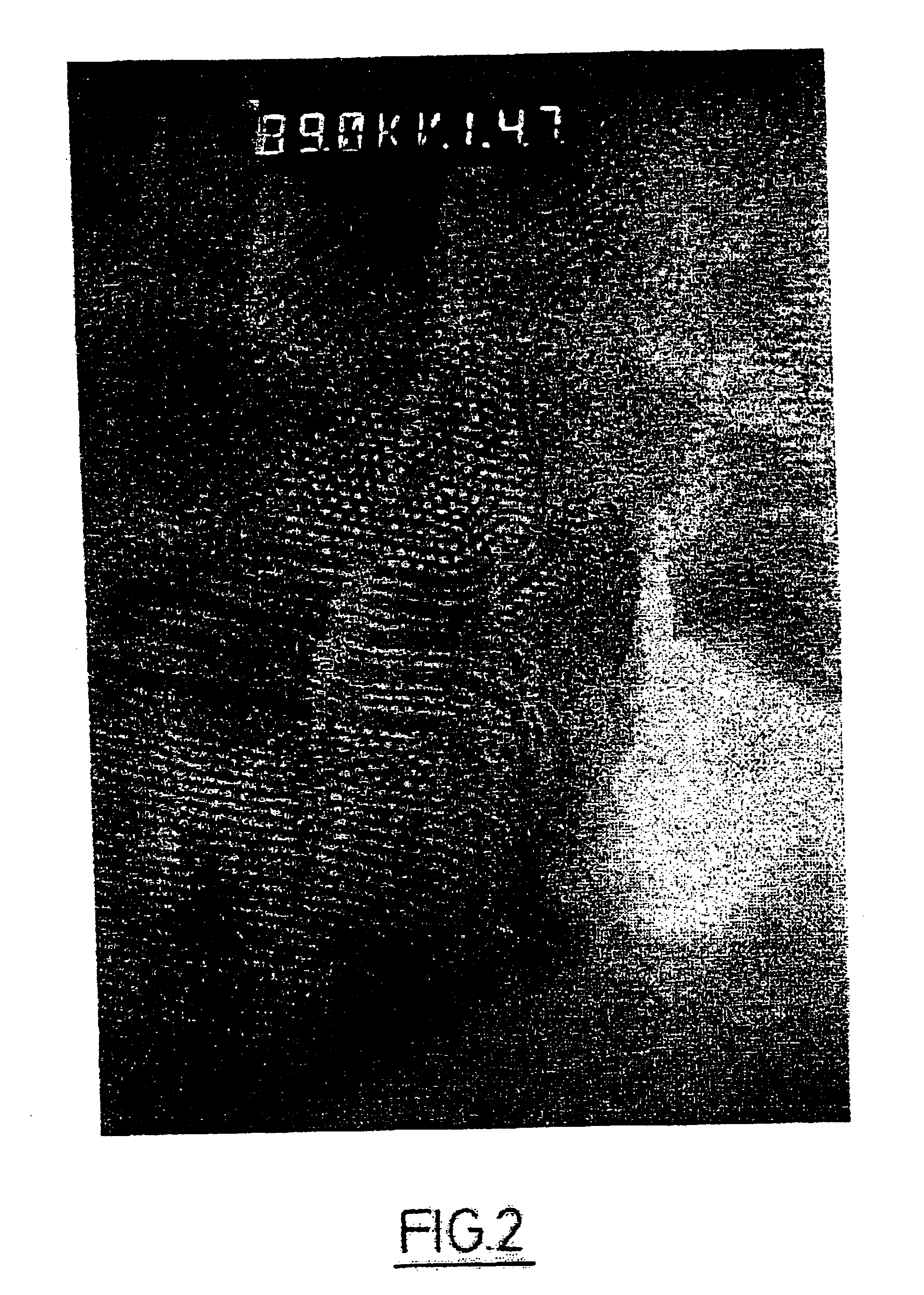 Mesostructured material incorporating particles of nanometric dimensions