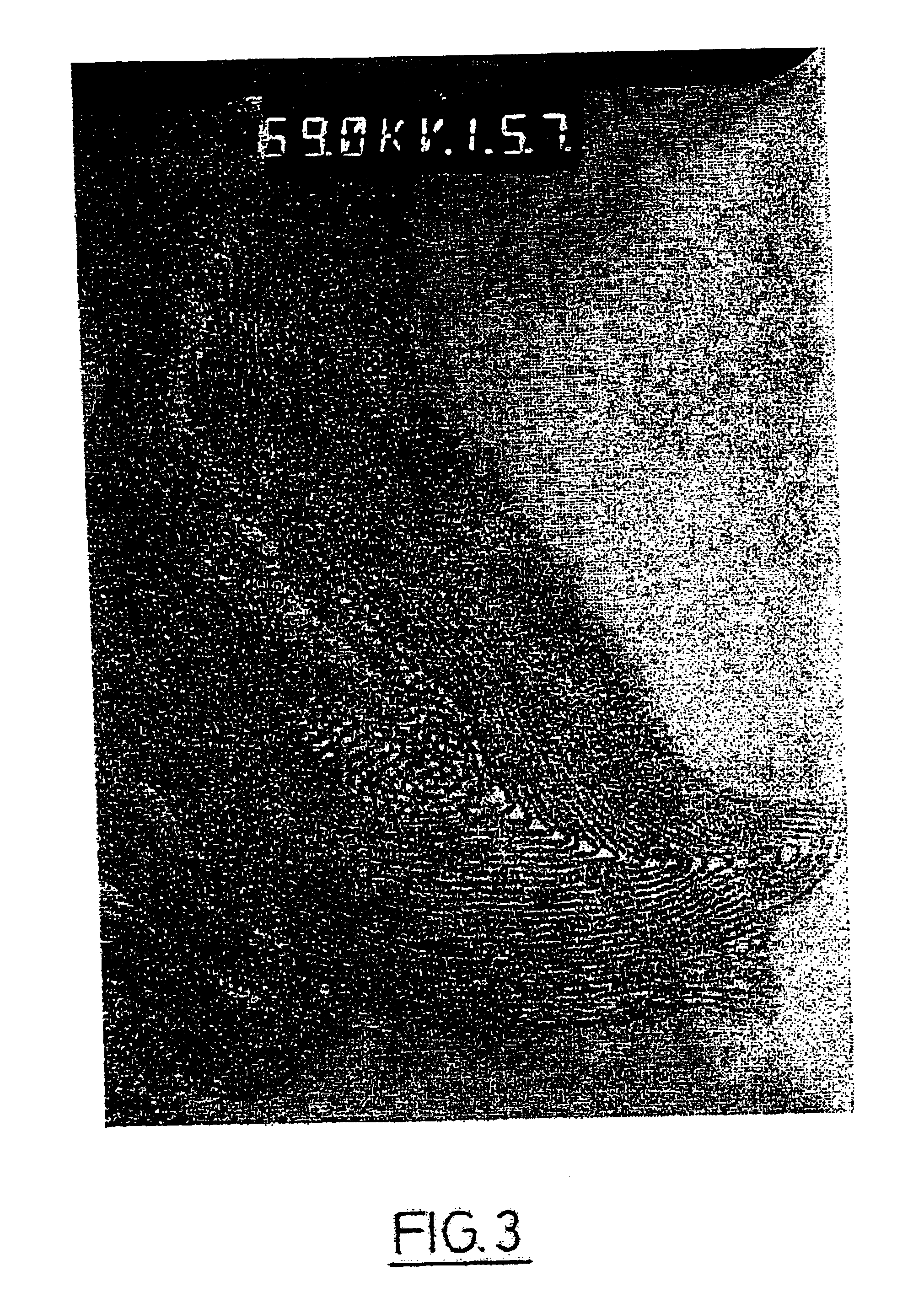 Mesostructured material incorporating particles of nanometric dimensions