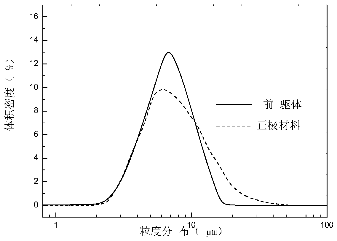 Nickel-cobalt-aluminum hydroxide precursor, preparation method thereof, anode material and battery