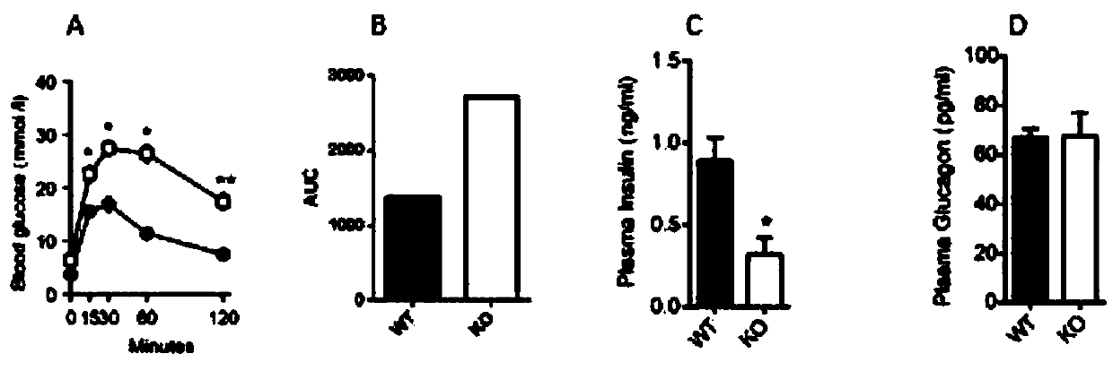 Application of mTORC1 in medicines for regulating and controlling functions and conversion of pancreatic beta cells