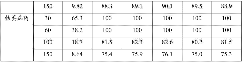 Liquid microbial fertilizer for preventing fungal disease of tomatoes and preparation method of liquid microbial fertilizer