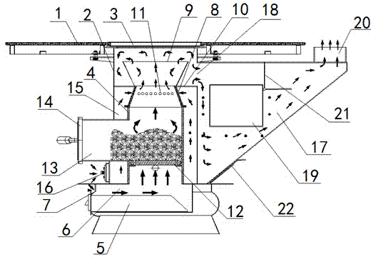 Biomass cooking and heating stove