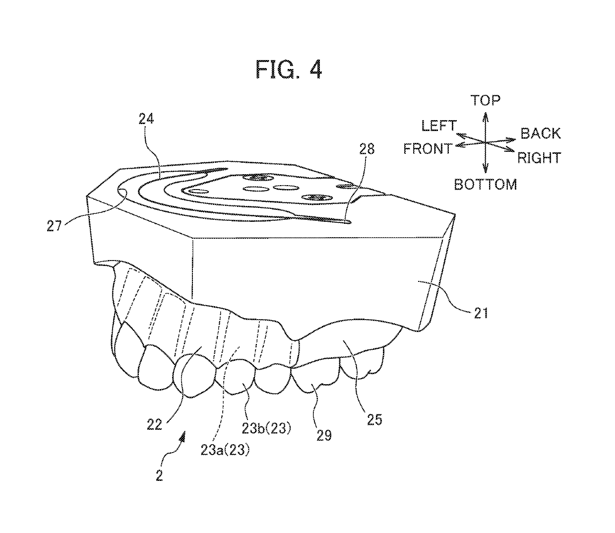 Orthodontic practice appliance