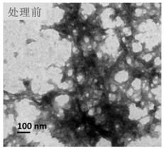 Preparation method of high-quality burdock root dietary fiber