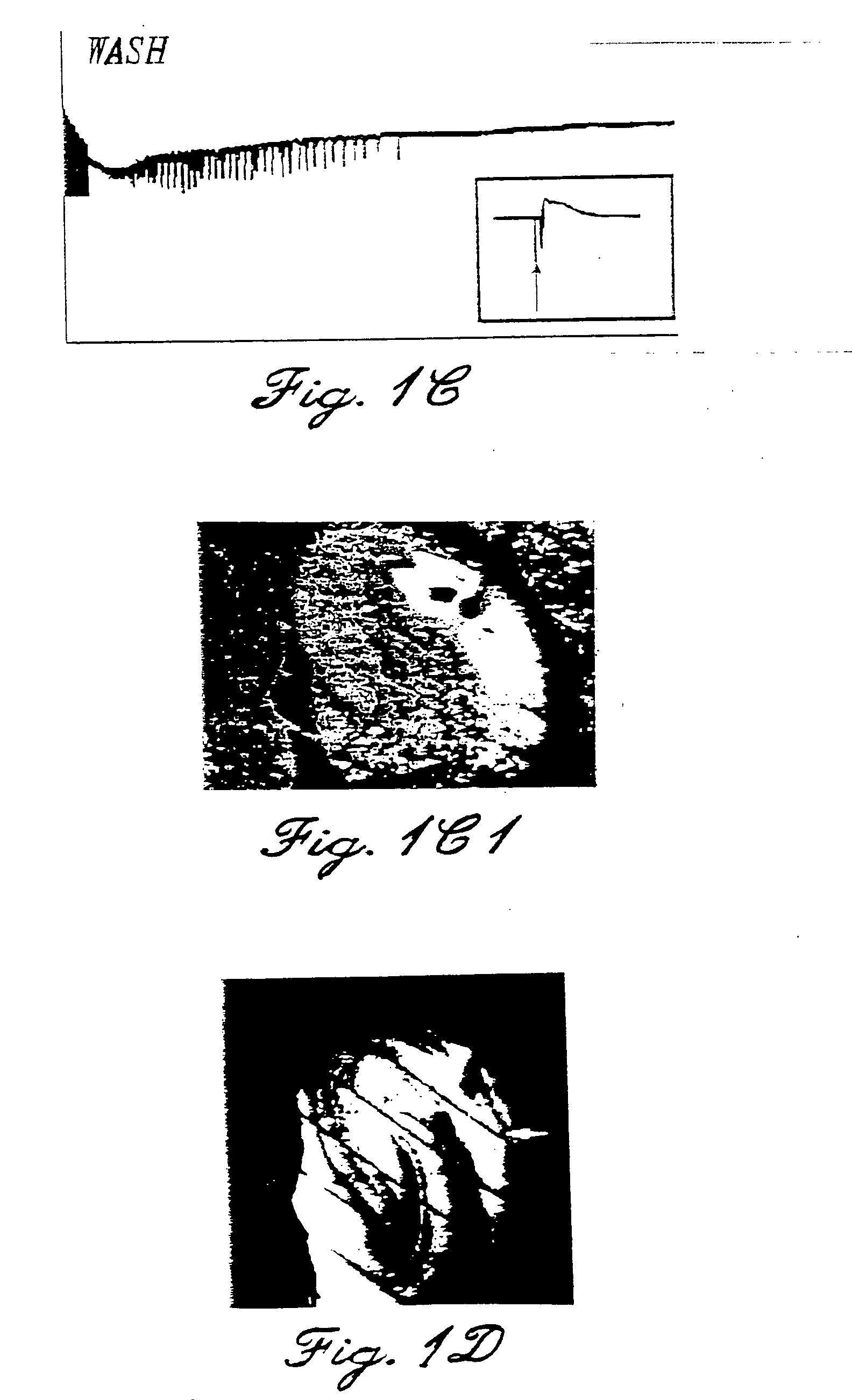 Compositions and methods for the treatment of disorders of the central and peripheral nervous systems