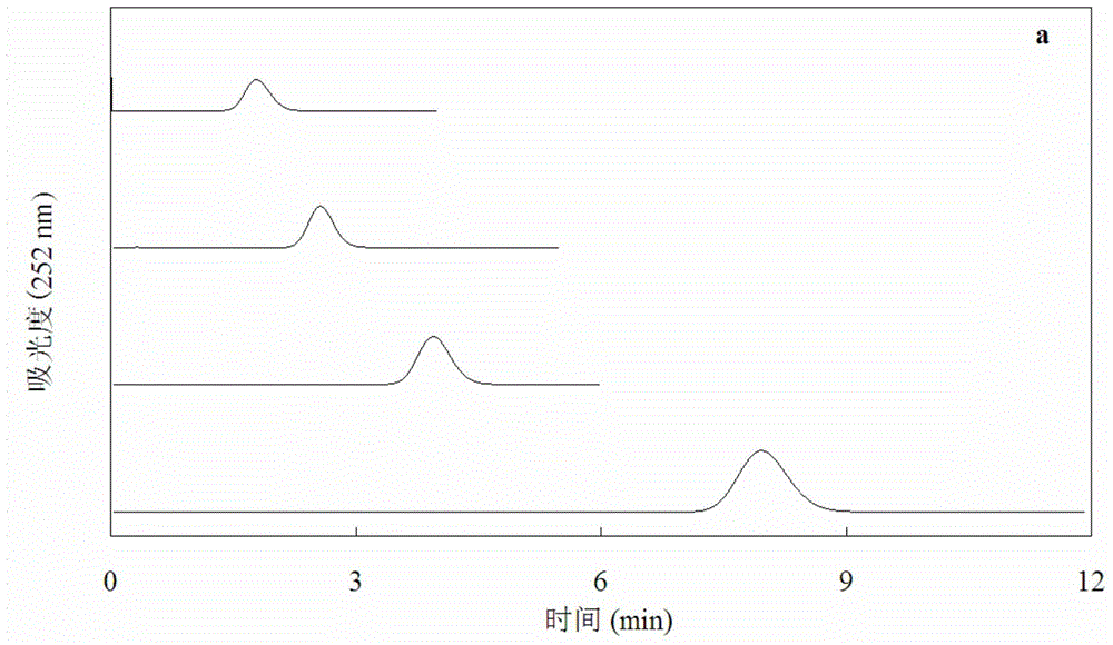 Affinity chromatography-based method for measuring supramolecular interaction dissociation rate constant