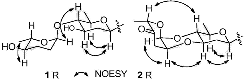 Angucycline compounds and application of angucycline compounds in preparation of anti-tumour or antibacterial medicine