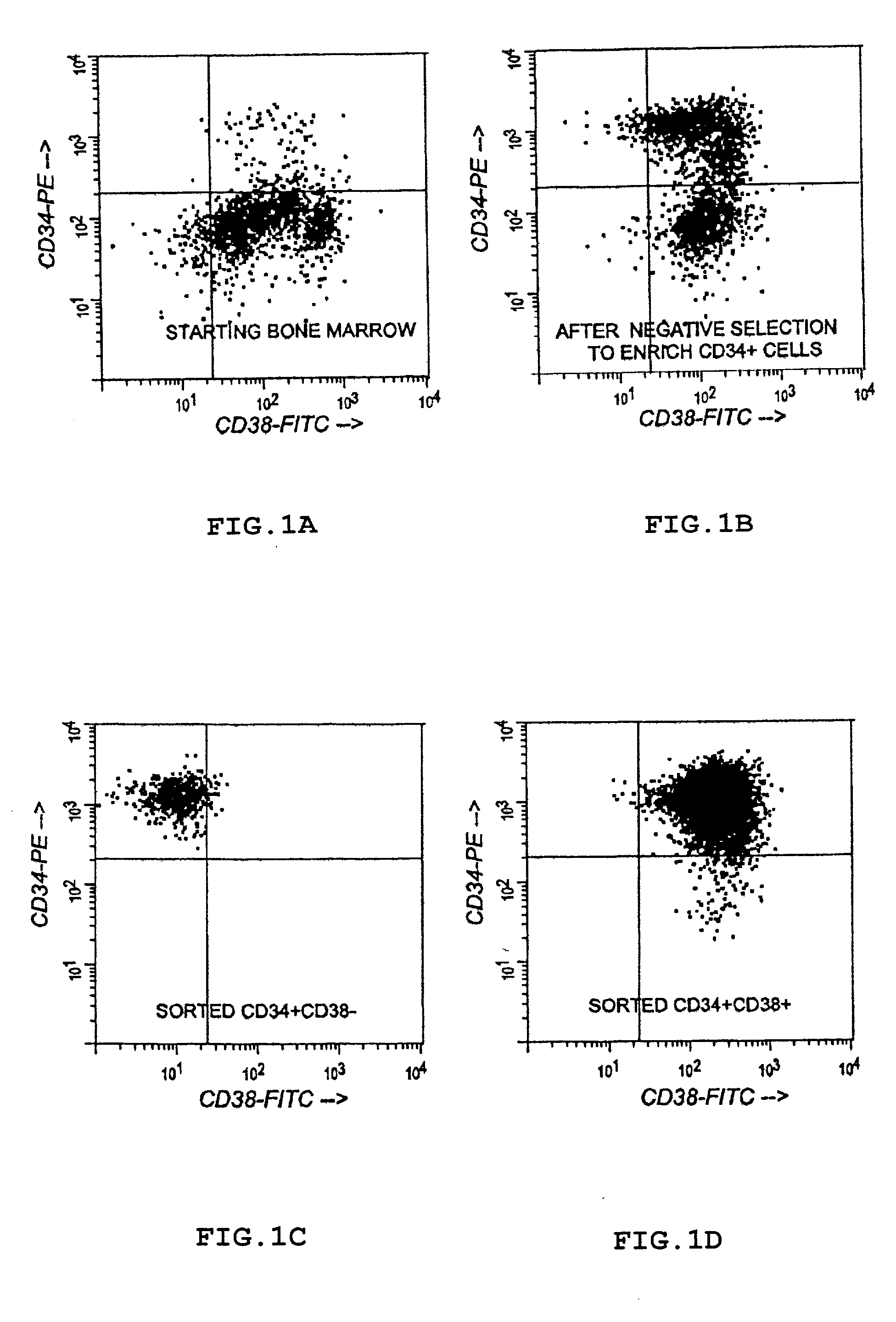 Protein that modulates the stability of transcriptional regulatory complexes regulating nuclear hormone receptor activity, DNA encoding same, and antibodies thereto