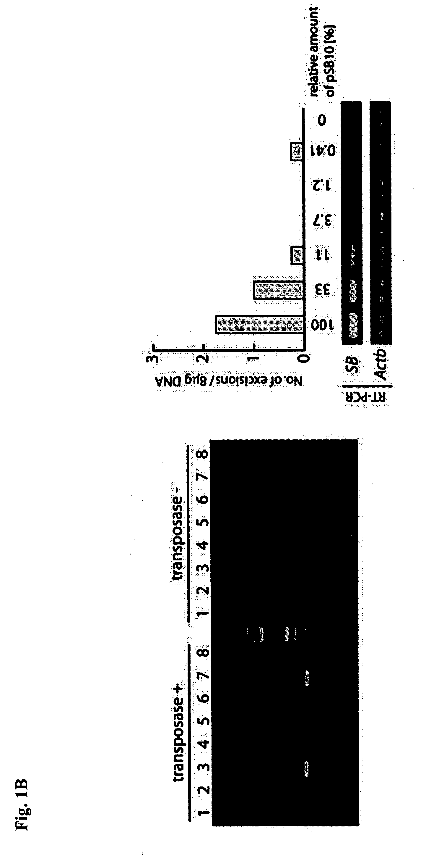 Method of preparing transgenic organism with use of methylation and system therefor